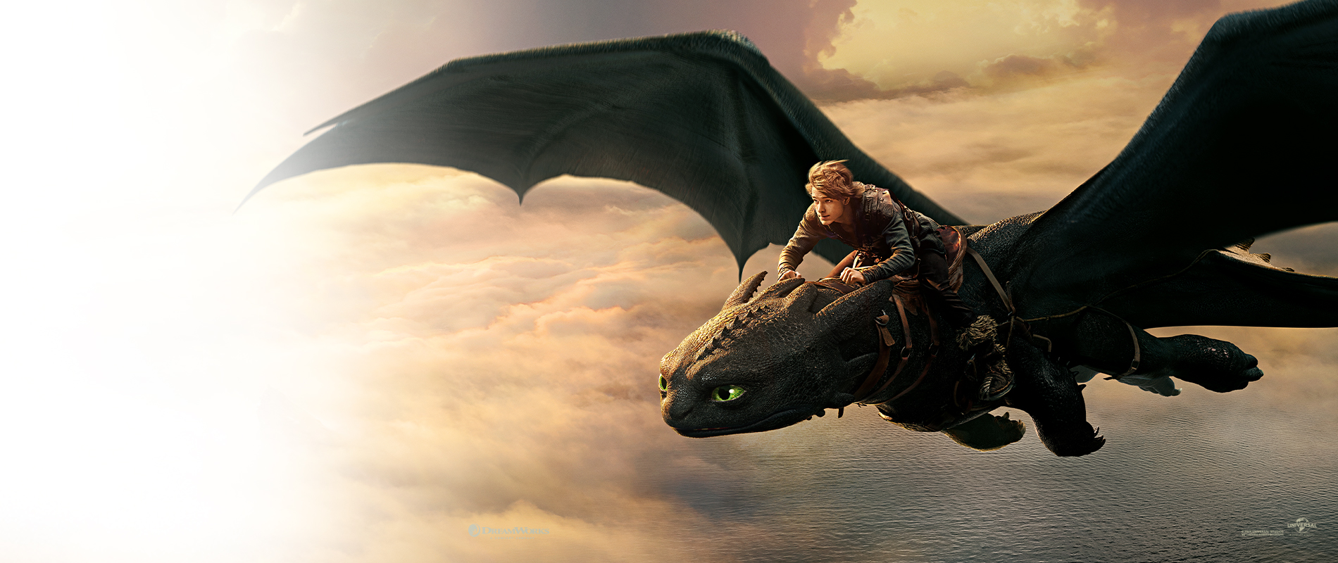 How To Train Your Dragon 
